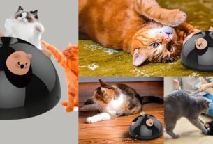 Brinquedo Interativo Para Gatos