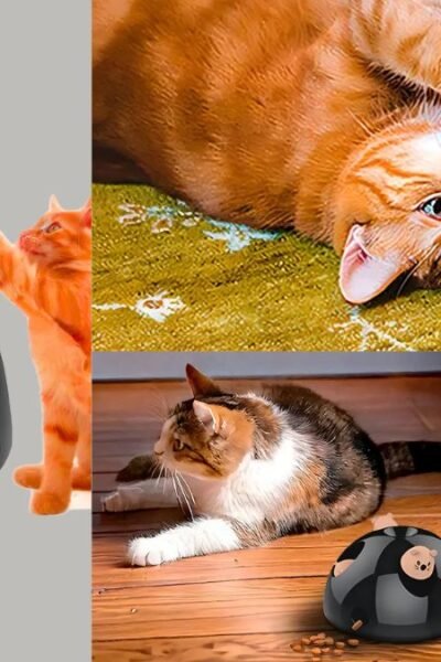 Brinquedo Interativo Para Gatos