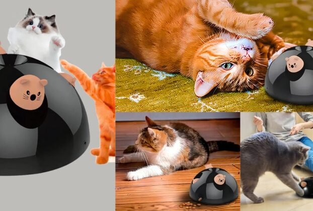 Brinquedo Interativo Para Gatos