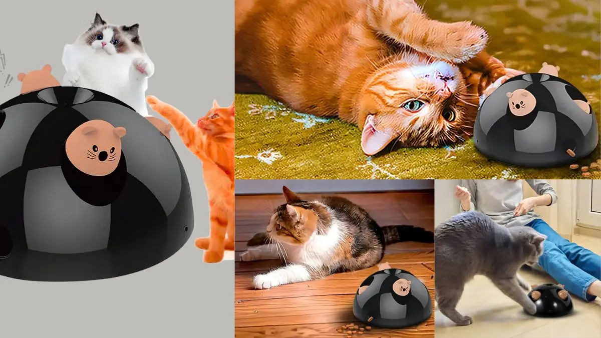 Brinquedo Interativo Para Gatos Pets The Mouse Momovida é Bom? Funciona Mesmo? 1 Brinquedo Interativo Para Gatos