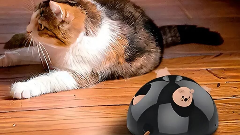 Brinquedo Interativo Para Gatos