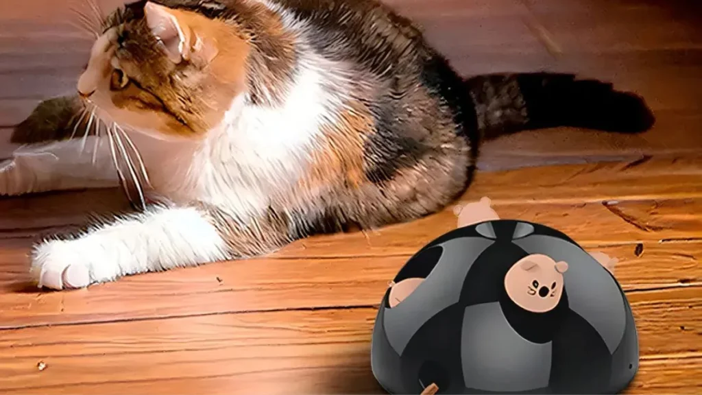 Brinquedo Interativo Para Gatos Pets The Mouse Momovida é Bom? Funciona Mesmo? 2 Brinquedo Interativo Para Gatos