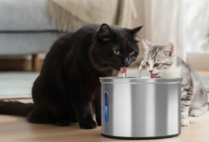 bebedouro para gatos inox