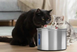 bebedouro para gatos inox