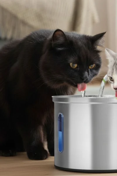 bebedouro para gatos inox