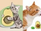 Catnip Abacate Brinquedo Interativo Gatos Atiça Curiosidade