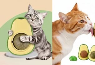 Catnip Abacate Brinquedo Interativo Gatos Atiça Curiosidade