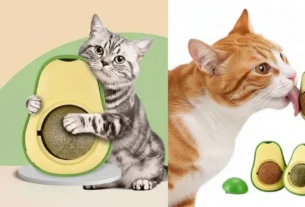 Catnip Abacate Brinquedo Interativo Gatos Atiça Curiosidade