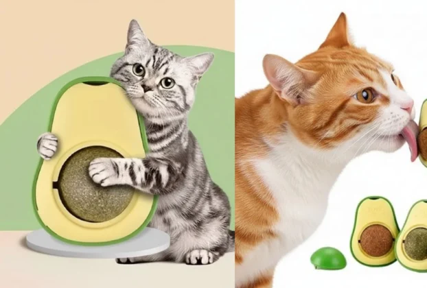 Catnip Abacate Brinquedo Interativo Gatos Atiça Curiosidade