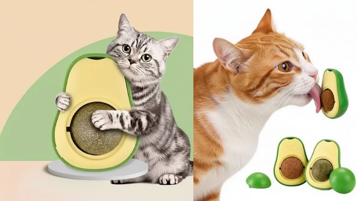 Catnip Abacate Brinquedo Interativo Gatos Atiça Curiosidade